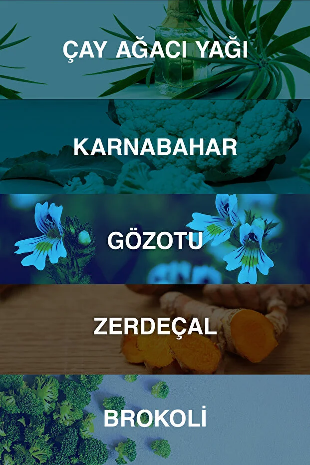 Acnium Sebum Dengeleyici Yüz Yıkama Jeli 500ml 1 Alana 1 Hediye Salisilik Asit Çay Ağacı Niasinamid